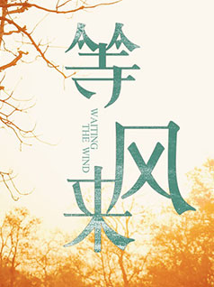 等风来